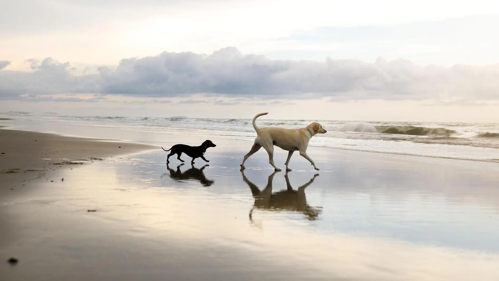 Casa de Férias Arthurs Escape Filey Reino Unido